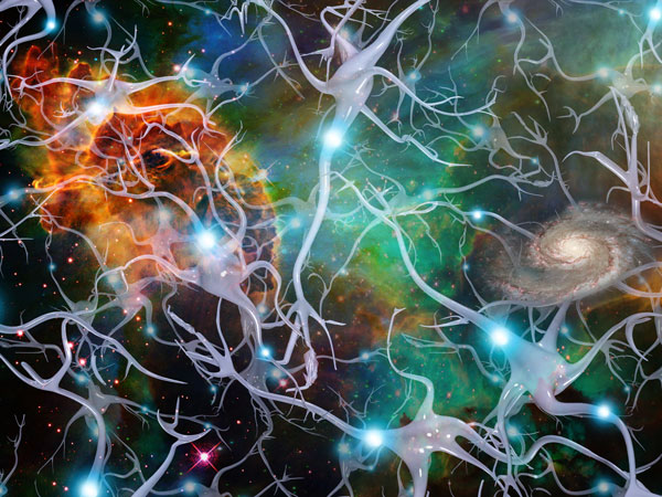 Brain Rhythms Self-Optimize